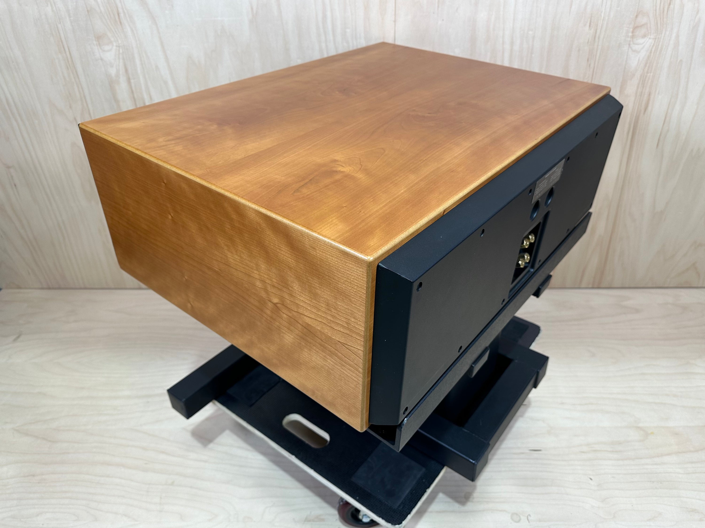 Aerial Acoustics CC5 Center w/Stand