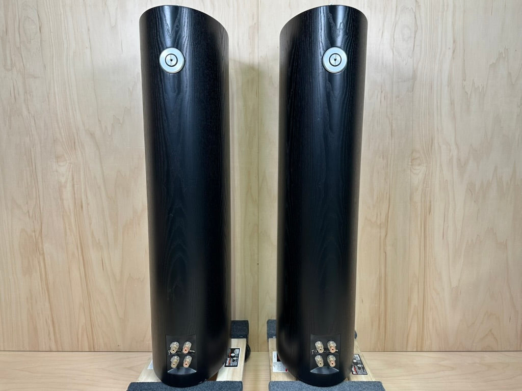 B&W 804s Speakers
