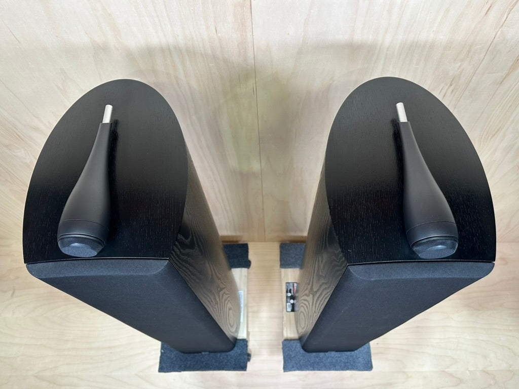 B&W 804s Speakers