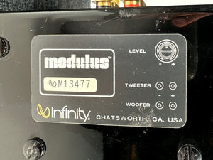 Infinity Modulus Speakers w/Emit K Ribbon Tweeters