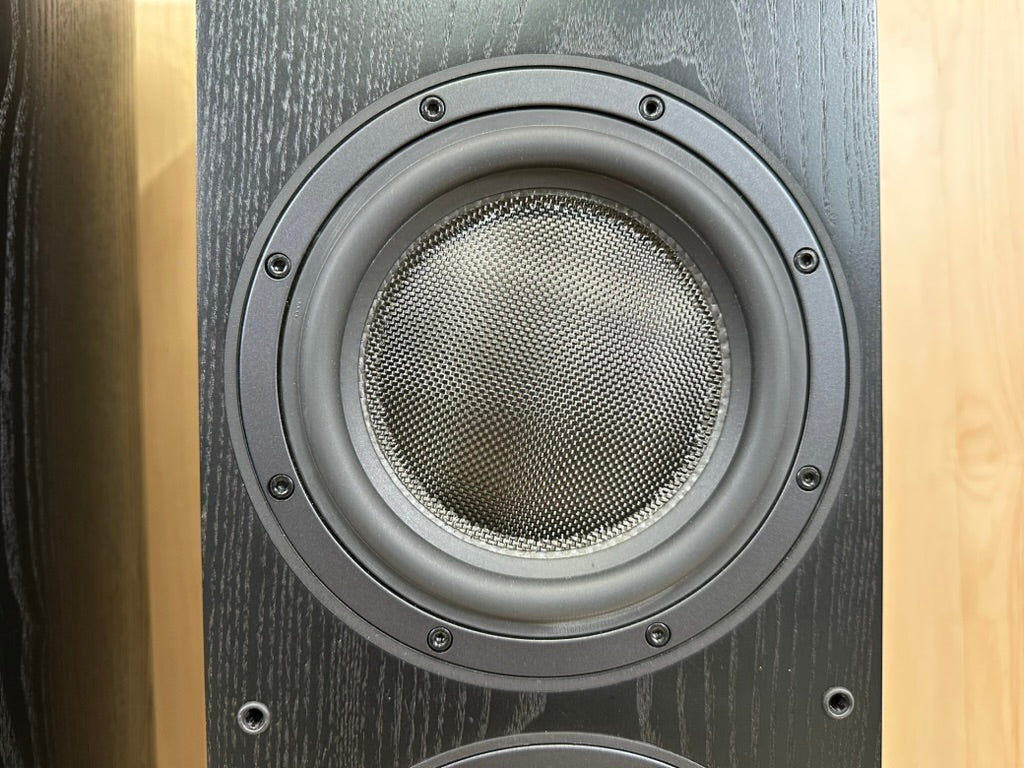 B&W 804s Speakers
