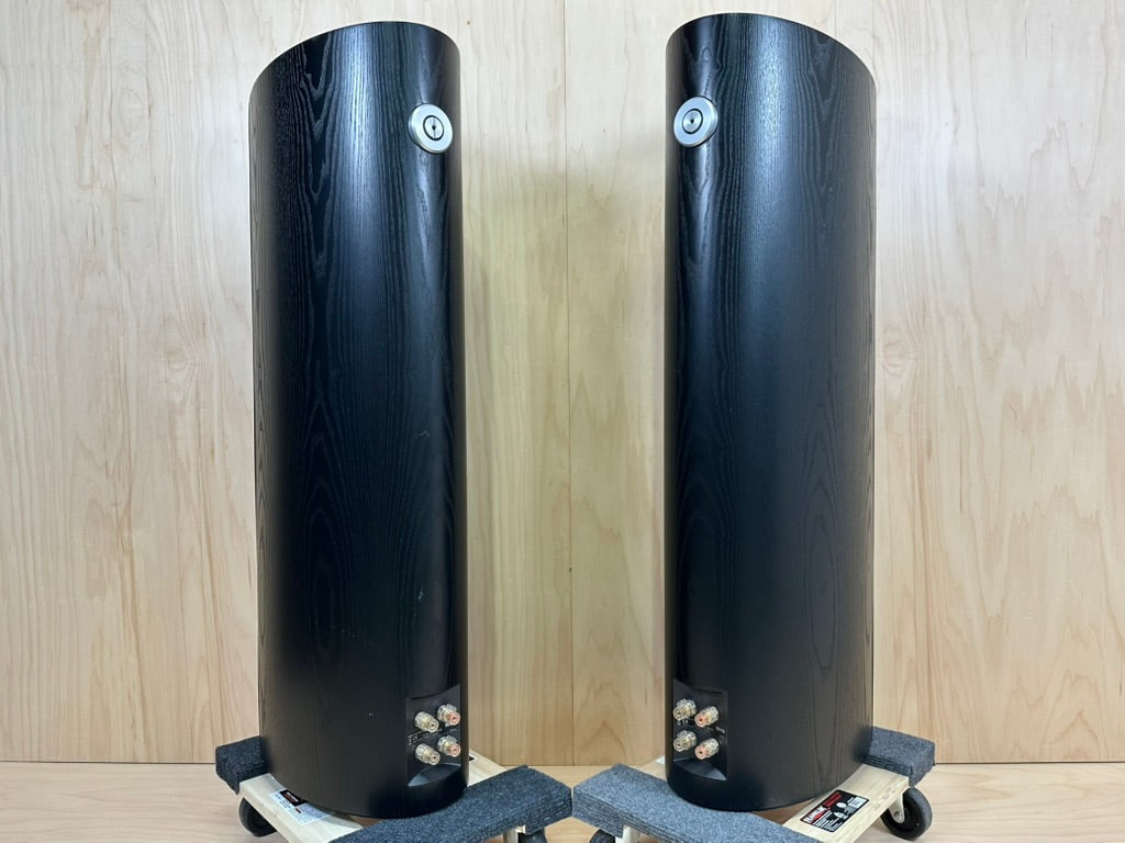 B&W 804s Speakers