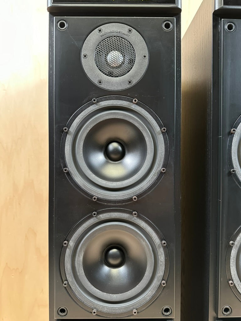 Meridian DSP 5000 Active Speakers