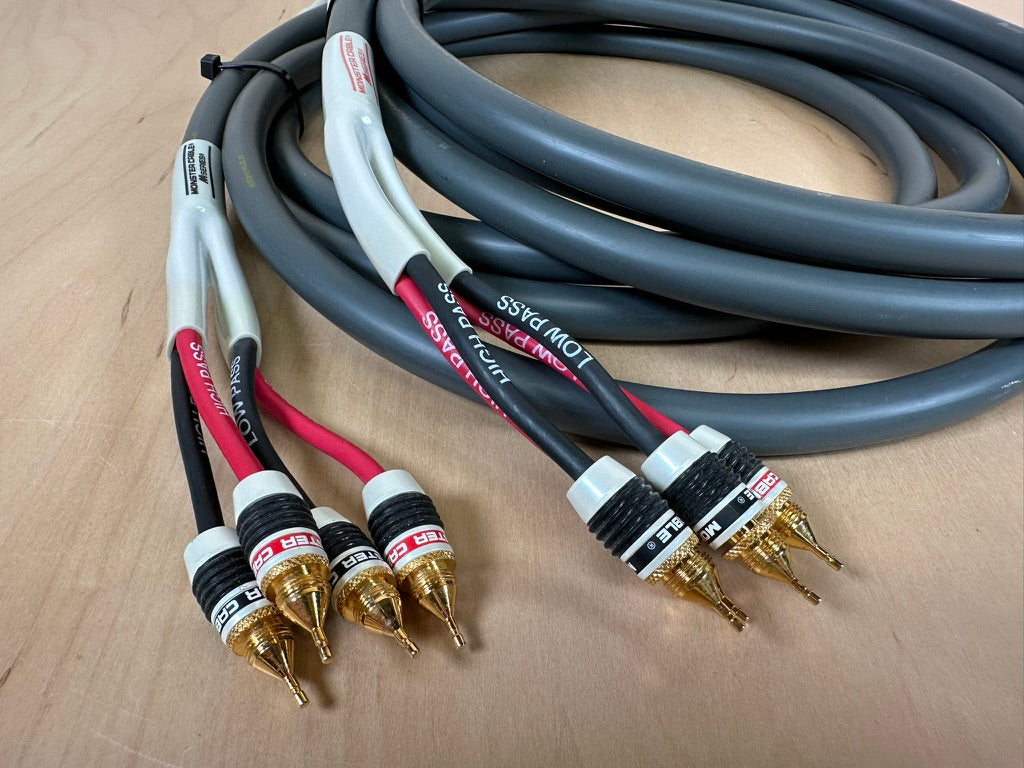 Monster Cable M Series M1.4S Biwire 10' Speaker Cables – Record