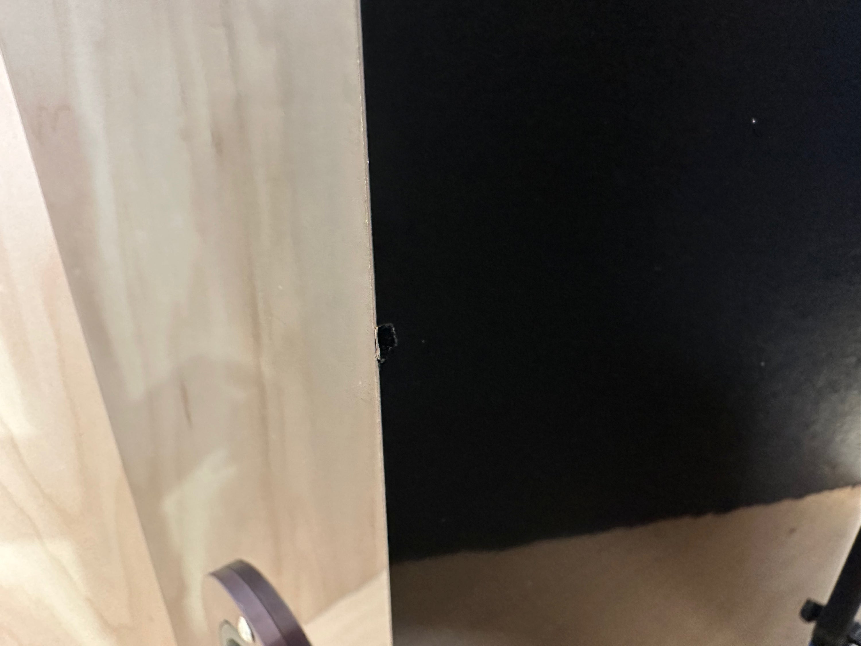 Wilson Audio Watt Puppy 5 w/Crates