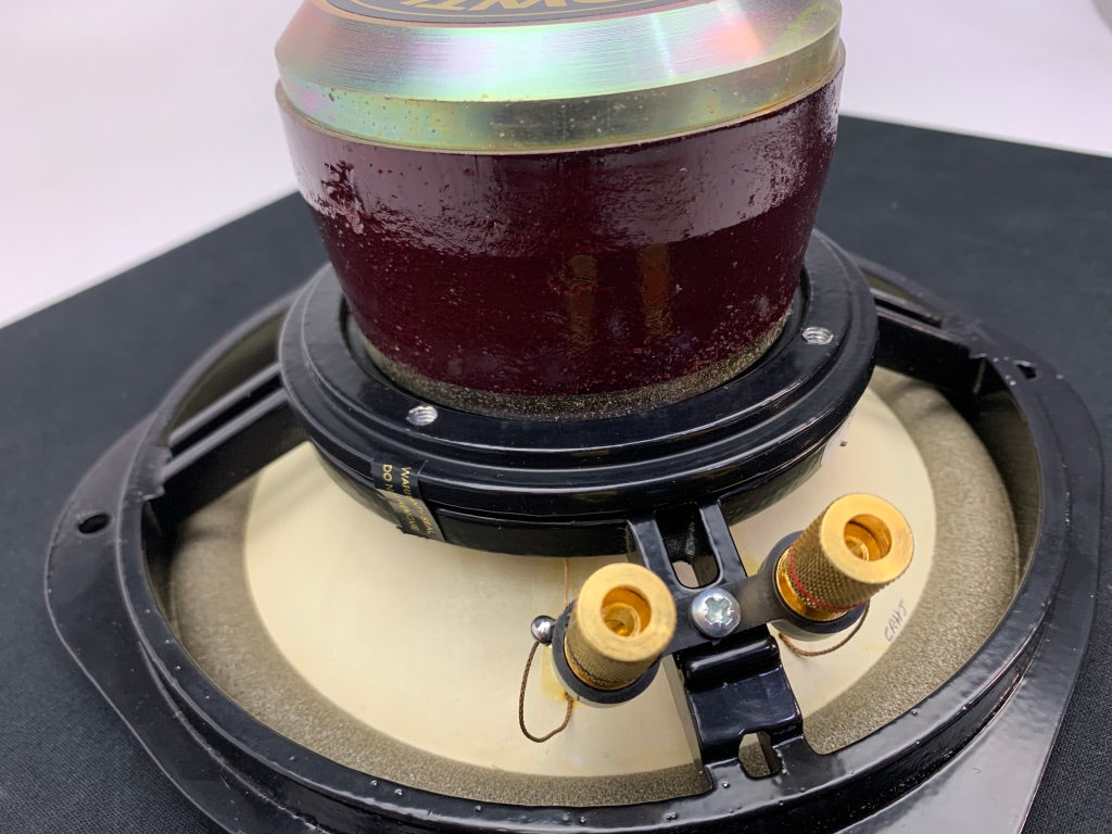 LOWTHER ACOUSTA 115 ENCLOSURES WITH PM6A SPEAKERS – Record Mart HiFi