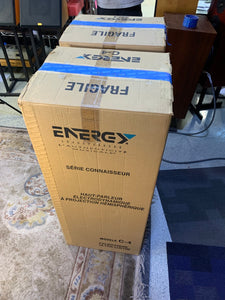 Energy C-4 Tower Speakers w/ Original Boxes