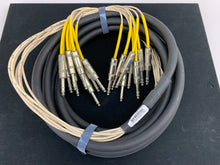 Load image into Gallery viewer, HORIZON 8 CHANNEL 1/4&quot; to 1/4&quot; TRS BALANCED SNAKE CABLE 20&#39;