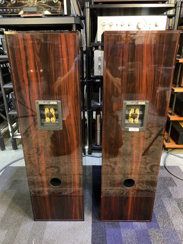 Energy C-4 Tower Speakers w/ Original Boxes